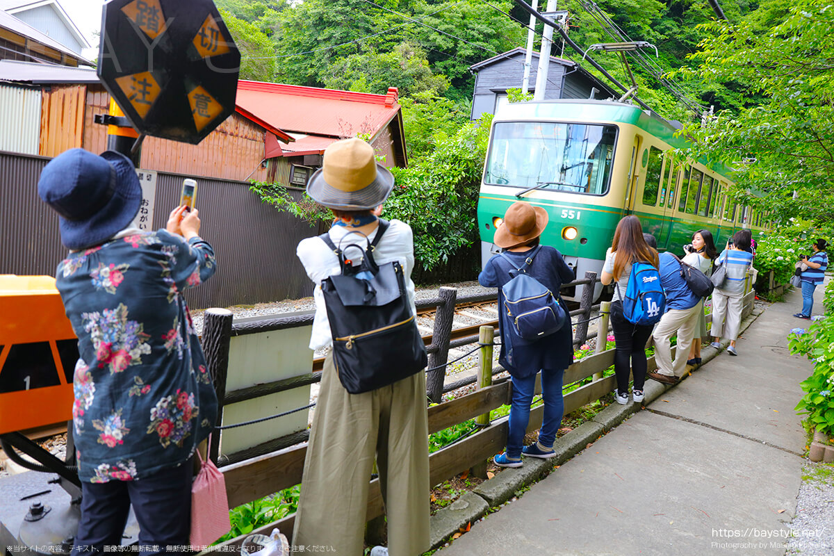 江ノ電の線路沿いに咲くあじさいと江ノ電を撮影する人たち