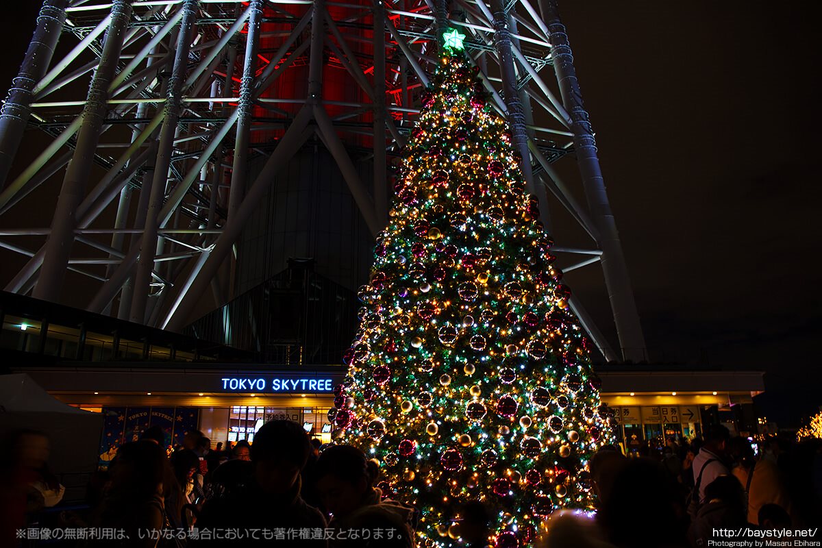 東京スカイツリー展望デッキ入口前のクリスマスツリー
