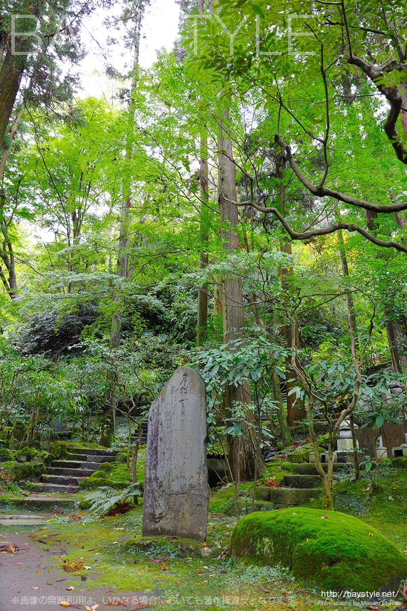 緑豊かな東慶寺の墓苑