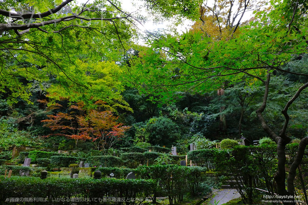 緑豊かな東慶寺の墓苑