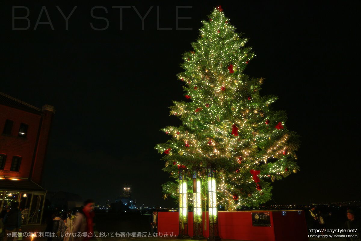 赤レンガ倉庫にクリスマスツリー