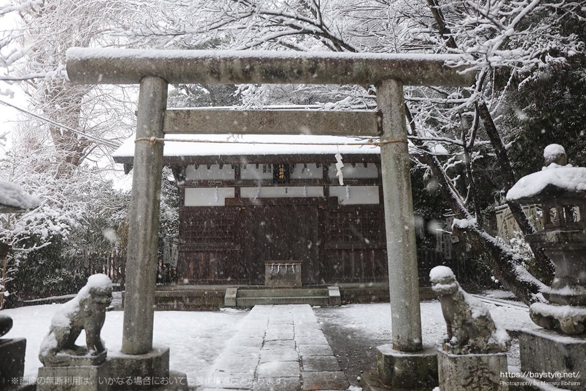 雪化粧した白旗神社
