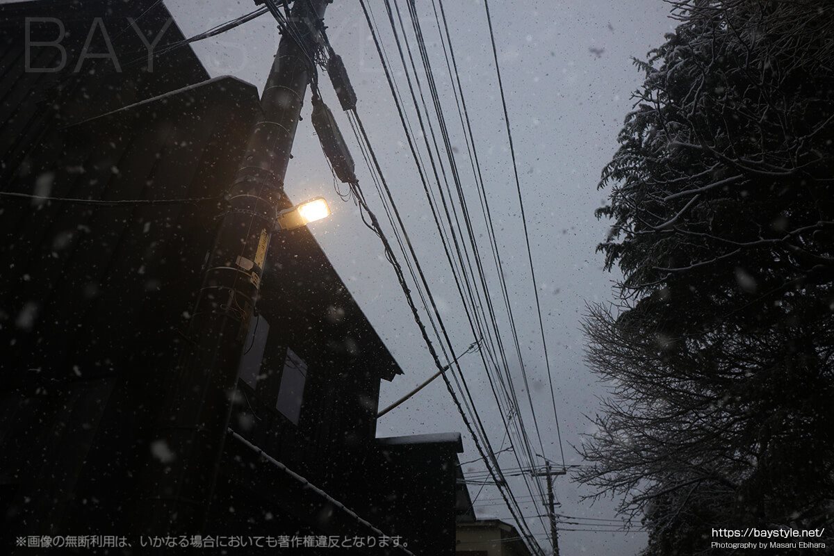 冬の鎌倉