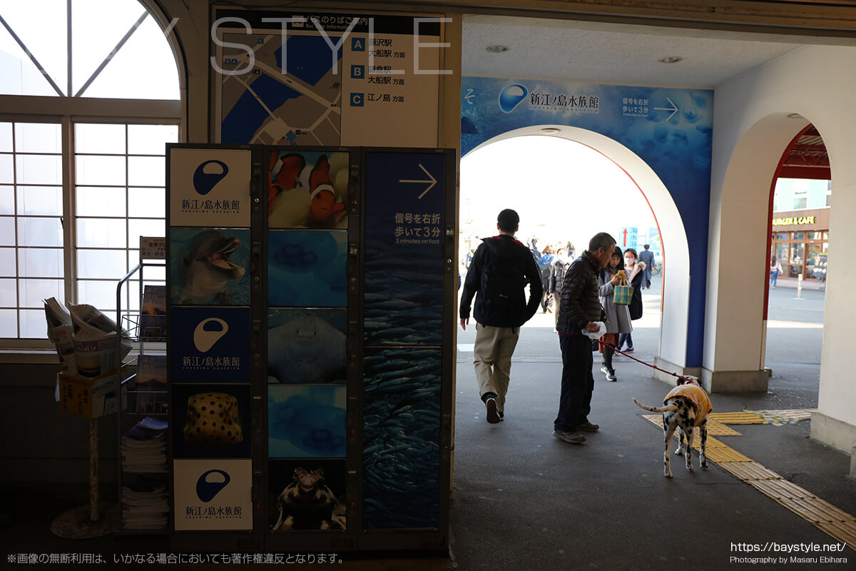 小田急線片瀬江ノ島駅旧駅舎（2018年3月6日時点）のコインロッカー