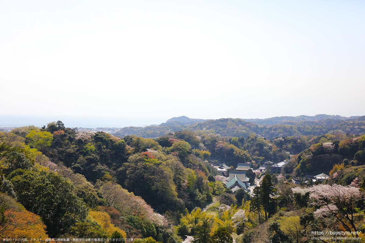 半僧坊から勝山獄展望台の間から見た鎌倉の景色