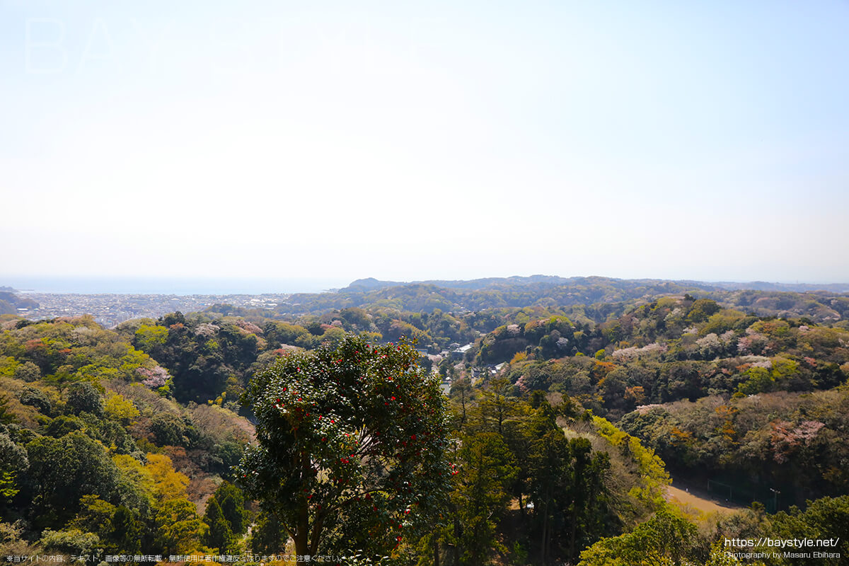 半僧坊から勝山獄展望台の間から見た鎌倉の景色