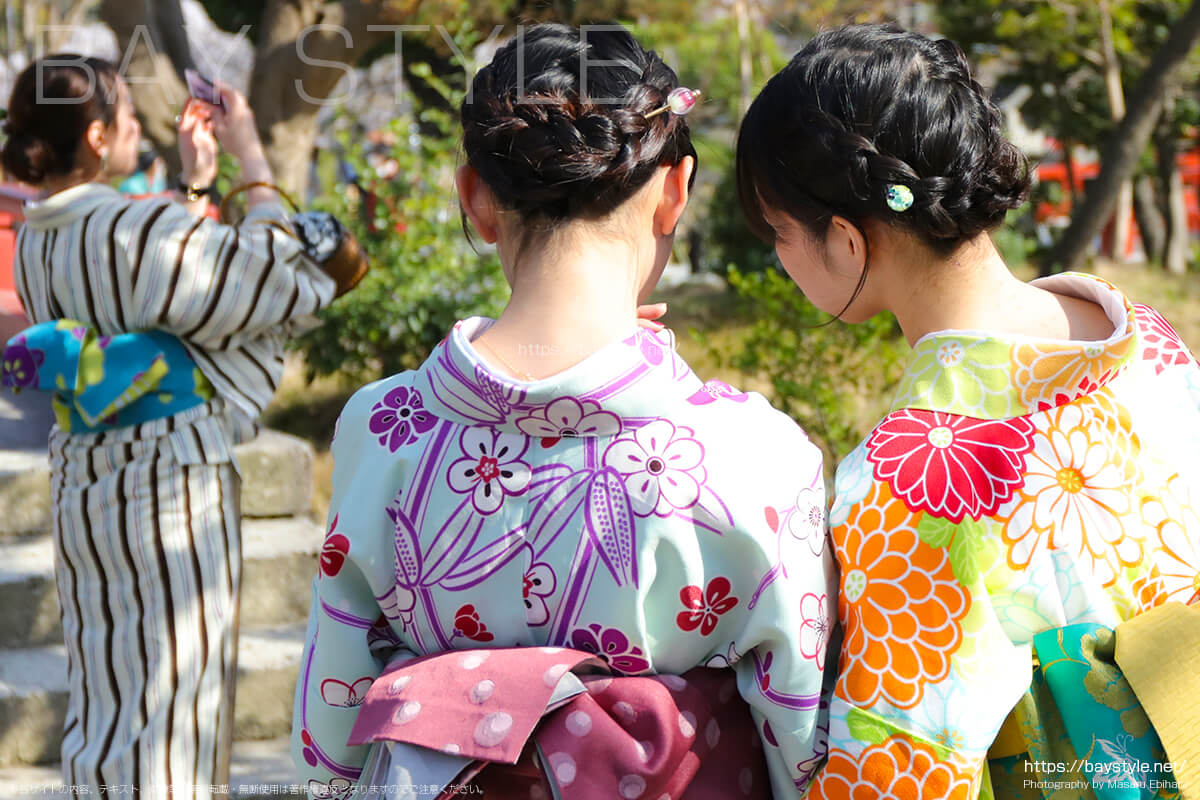 着物と鎌倉の桜