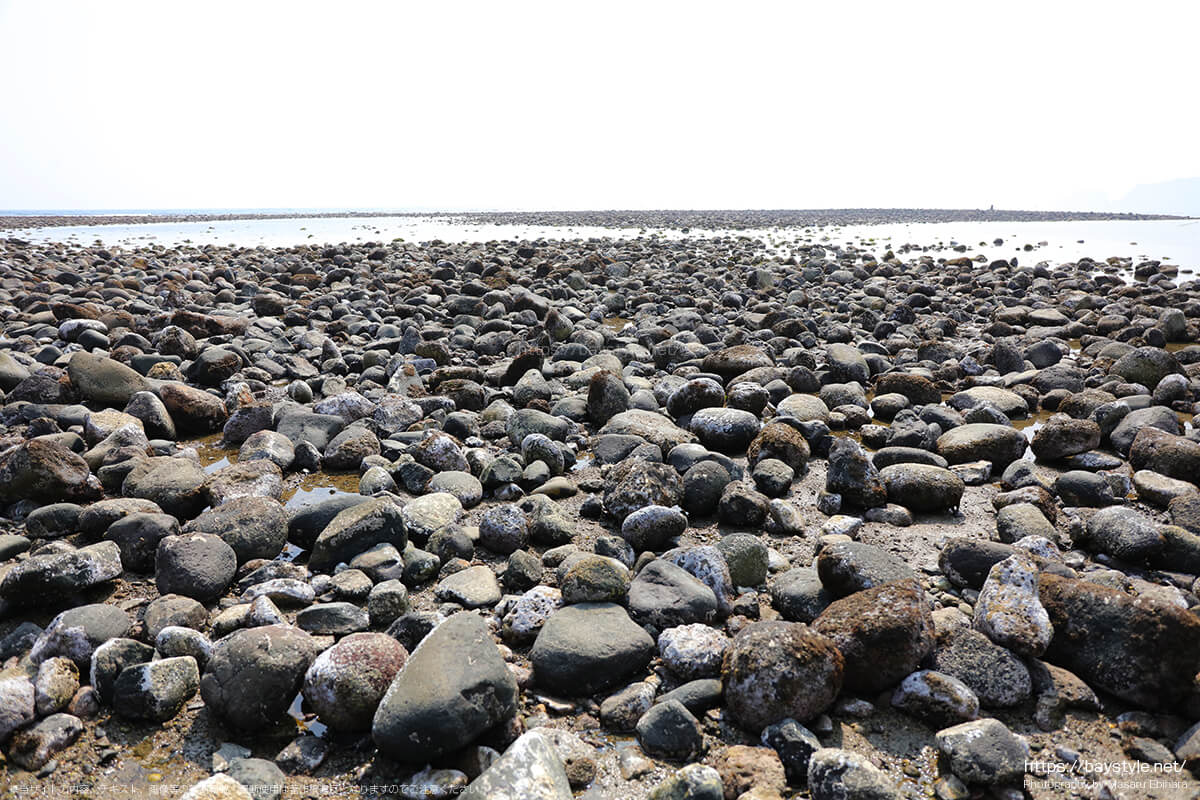 和賀江島まで続く干潮時の材木座海岸の岩場